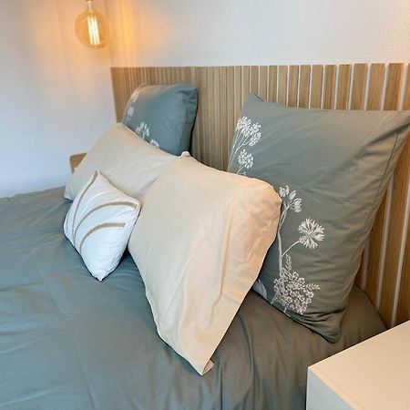 Apartament Cocon Douillet Pres De La Gare. Nancy Zewnętrze zdjęcie
