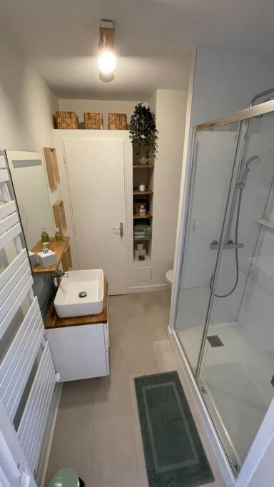Apartament Cocon Douillet Pres De La Gare. Nancy Zewnętrze zdjęcie