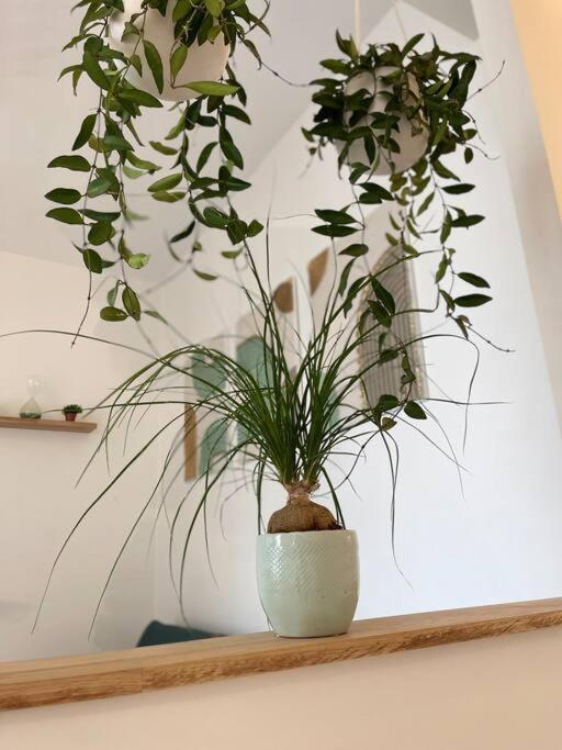 Apartament Cocon Douillet Pres De La Gare. Nancy Zewnętrze zdjęcie