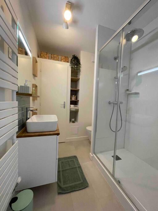 Apartament Cocon Douillet Pres De La Gare. Nancy Zewnętrze zdjęcie