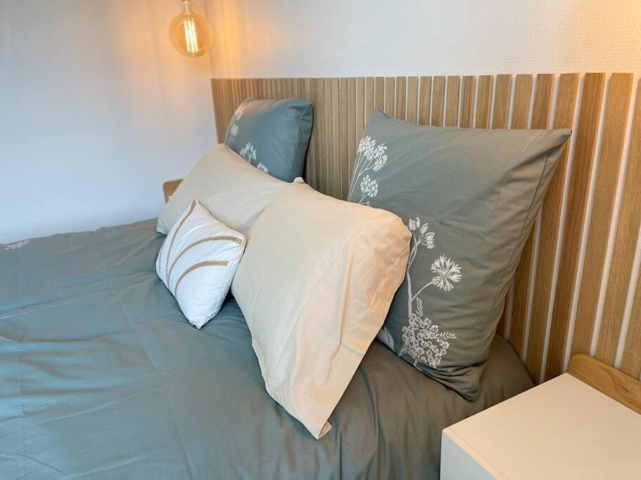 Apartament Cocon Douillet Pres De La Gare. Nancy Zewnętrze zdjęcie